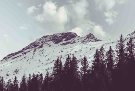 Snow-covered mountains with a cloudy sky, framed by dark green pine trees.