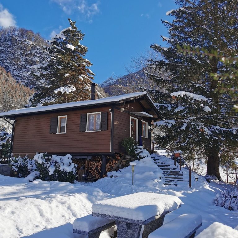 Wooden cabin surrounded by snow-covered trees and mountains on a clear winter day.